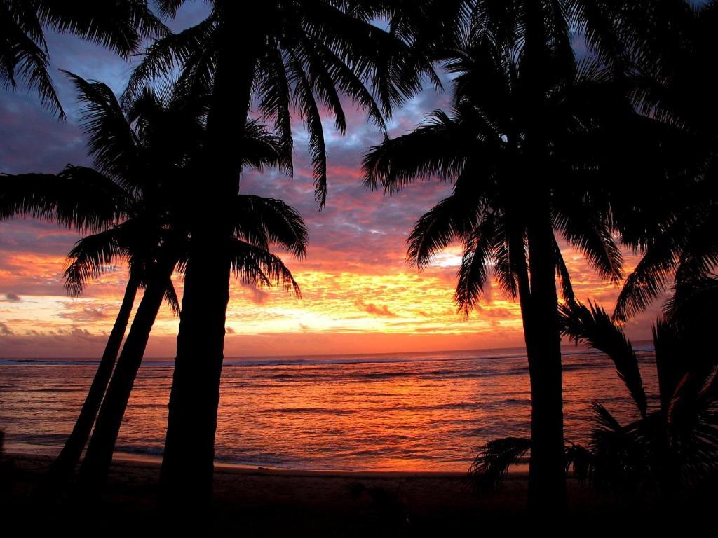 Sunhaven Beach Bungalows (Adults Only) Rarotonga Kültér fotó