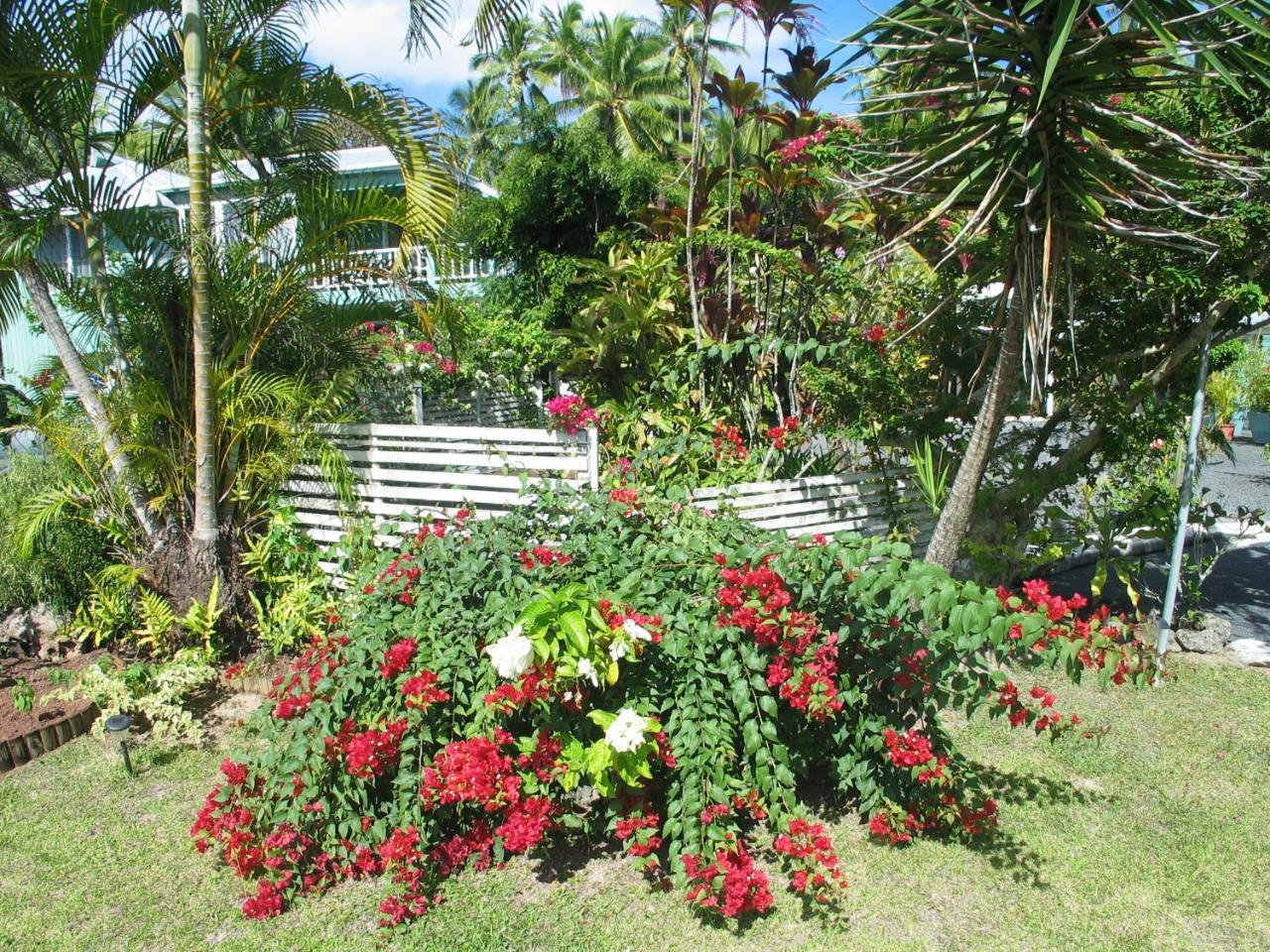 Sunhaven Beach Bungalows (Adults Only) Rarotonga Kültér fotó